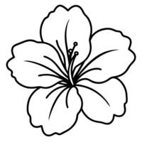 Hibiscus flower with soft rounded stamen and petals vector