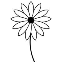 Daisy petals of varying lengths in elegant line illustration vector