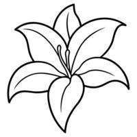 Lily flower featuring delicate fine line artistic details vector