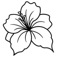 Hibiscus flower with intricate and detailed linework vector