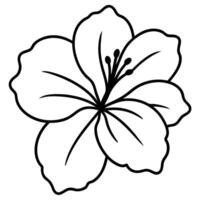 Hibiscus flower featuring detailed veins in its petals vector