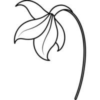 Lily flower with drooping curved petal artistic style vector