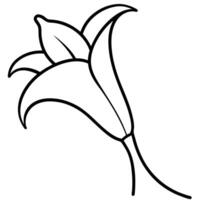 Lily flower with an open trumpet-like bloom vector