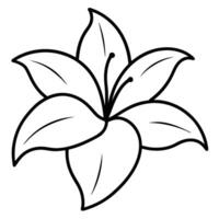 Lily flower with wide curling outward petals vector