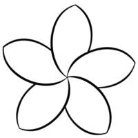 Plumeria flower with smooth circular petal lines and design vector
