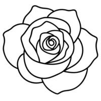 Rose viewed from above showing intricate petal design vector