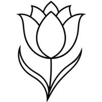 Tulip illustration with wavy petal lines gracefully drawn vector