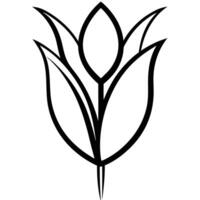 Tulip with bold thick petal lines on white background vector