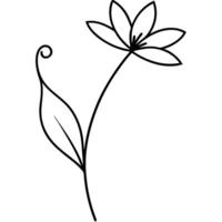 Wildflower illustration with soft flowing artistic lines vector