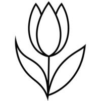 Tulip design with thick line leaf details clearly shown vector