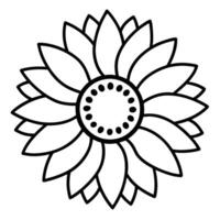 Sunflower showcasing detailed petals and intricate seed patterns vector