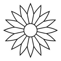Sunflower showcasing radial petal patterns with clean outlines vector