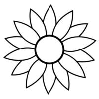 Sunflower with thin pointed petals and a rounded center vector