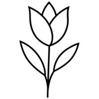Tulip with symmetrical leaves extending gracefully outward vector