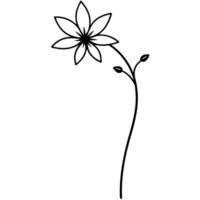 Wildflower with slender curved stem and flowing petals vector