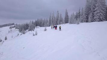 Flying over a group of tourists with backpacks in the winter mountains. Winter climbing in the Carpathian Mountains. Snowy tree branch in a view of the winter forest. Aerial footage, 4K video