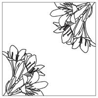 Frame with lily flowers for your design. Doodle style. vector