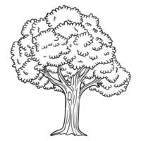 a tree coloring page with a large tree vector