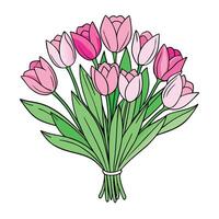 a bouquet of pink tulips on a white background vector