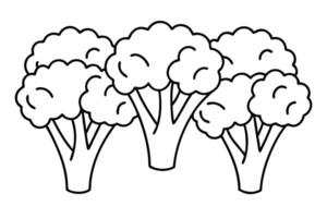 Broccoli Helps In Maintaining A Balanced Diet vector