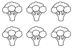 Broccoli Can Support Your Immune System Naturally vector