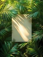 A blank canvas surrounded by lush green palm leaves, illuminated by soft light. photo