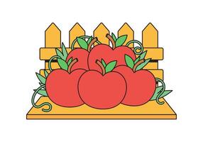 Fresh tomatoes by the fence vector
