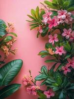 Vibrant floral arrangement against a pink background, showcasing various flowers and leaves. photo