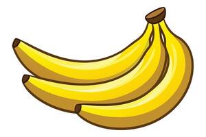 Three ripe bananas clustered together on a white background. vector