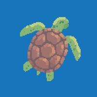 turtle pixel art vector