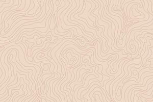Vintage topographic map background. Beige topographic lines terrain backdrop vector