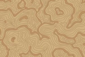 Vintage topographic map background. Beige topographic lines terrain backdrop vector