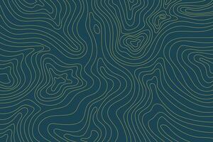Abstract luxury topographic map background. Gold topographic lines on a dark blue background vector