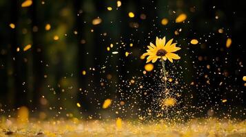 Magical Yellow Flower with Golden Sparkles and Falling Petals in Dark Background photo