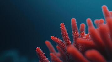 Vibrant Red Coral Reef Close up Underwater Ocean Scene Marine Life Texture photo