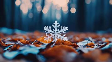 Intricate Snowflake on Autumn Leaves in a Forest Winter s Embrace photo