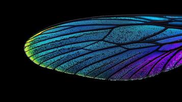 Vibrant Insect Wing Macro Photography Iridescent Blue Purple and Green Hues photo