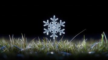 Sparkling Crystal Snowflake in Grass at Night Winter Nature Scene photo