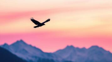 Majestic Eagle Silhouette Soaring at Sunrise Over Mountain Range photo