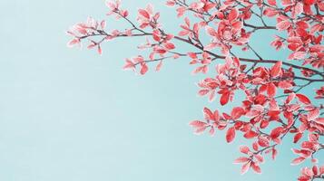 Frosty Red Leaves on Branch Winter Nature Background Pastel Blue photo