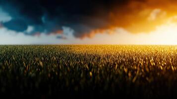 Dramatic Sunset Over Lush Green Grass Field Idyllic Nature Scene Golden Hour Light photo