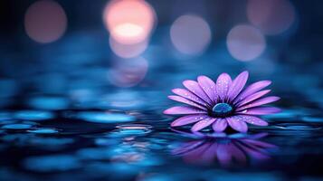 Serene Purple Flower Floating on Dark Blue Water with Bokeh Background photo
