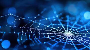 Dew Covered Spiderweb at Night with Blue Bokeh Background Macro Photography photo