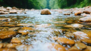 Crystal Clear Stream Water Flowing Over Smooth River Rocks in a Forest photo