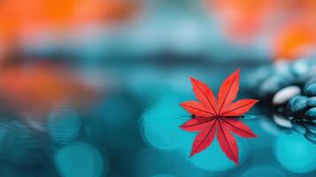 Serene Autumn Scene Red Maple Leaf Floating on Teal Water with Stones photo