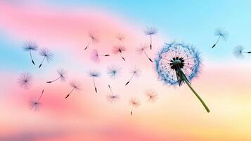 Dandelion Seeds Floating on Pastel Sky Background Dreamy Nature Photography photo