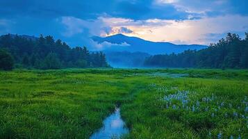 Serene Sunset Landscape Green Meadow Stream and Majestic Mountains photo