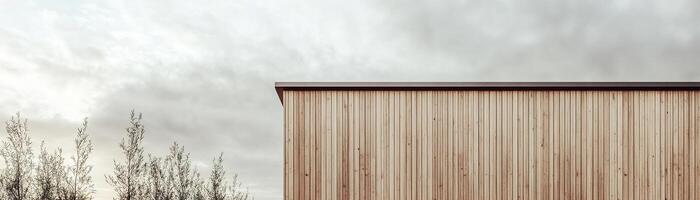 This architectural design showcases a natural wood facade with vertical slats, surrounded by clean landscaping and a serene sky. The modern aesthetic emphasizes warmth and simplicity photo