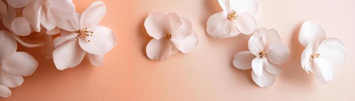 Softly blending dusty rose into pale peach creates a warm atmosphere, enhanced by delicate white flowers. This elegant backdrop is perfect for text overlays and design projects photo
