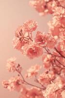 Softly blending dusty rose and pale peach shades create an elegant backdrop, adorned with delicate blooming flowers for a warm and inviting ambiance photo